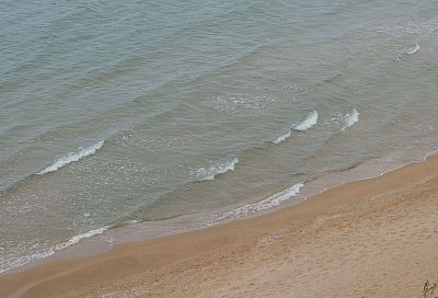 Новый вид краба обнаружен в Азовском море