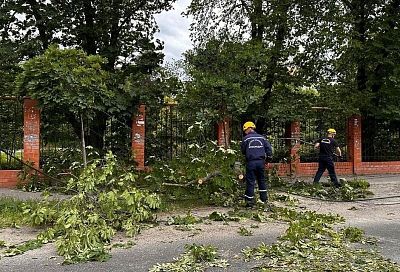 В краснодарскую Службу спасения поступило более 50 заявок от горожан