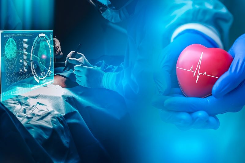 Российские ученые нашли способ сохранять донорские сердца 6 часов