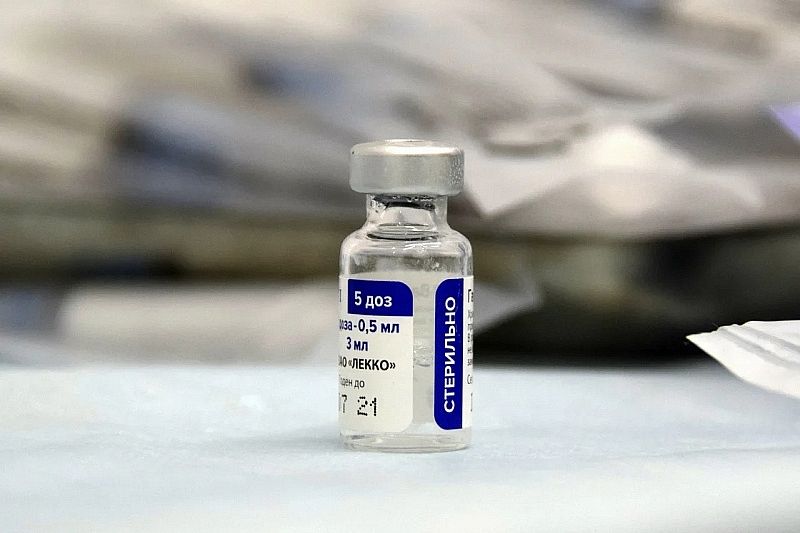 Гинцбург заявил об эффективности вакцины «Спутник V» при вакцинации животных