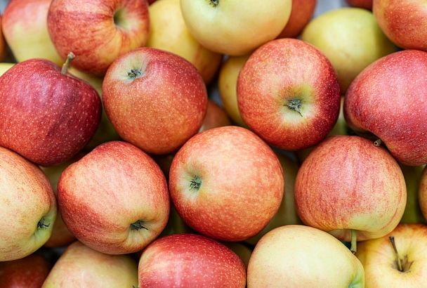Россия в июне нарастила импорт яблок в два раза