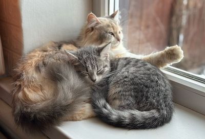 В прокуратуре Кубани предупредили о новой мошеннической схеме с возвратом переплаты за отопление