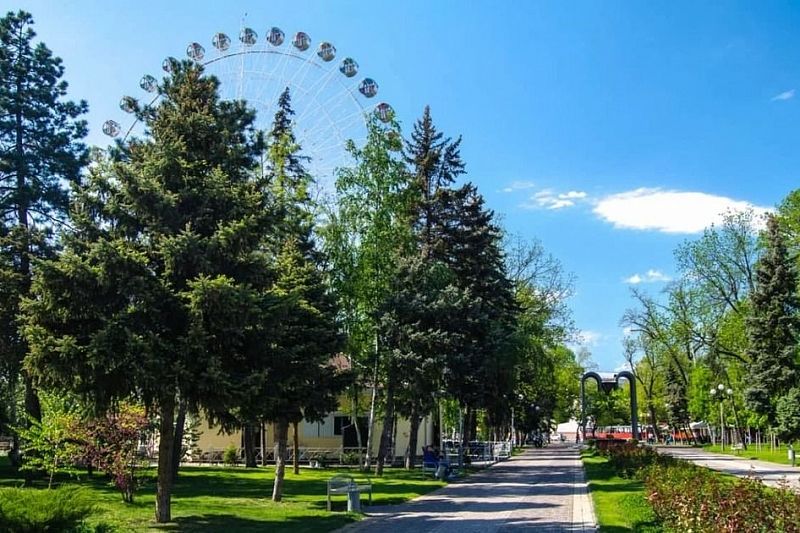 Проект концепции развития всех городских парков разработали в Краснодаре 