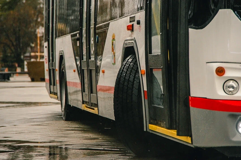 Направление Москва - Краснодар вошло в топ-5 самых популярных автобусных маршрутов в 2023 году