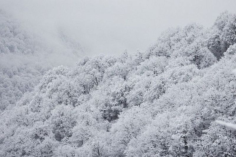 В горах Сочи ожидается мощный снегопад