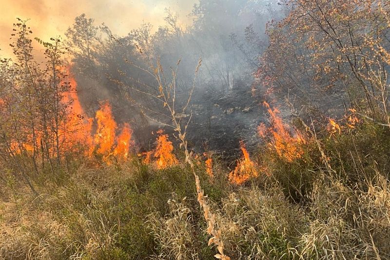 До 12 гектаров увеличилась площадь лесного пожара в Геленджике
