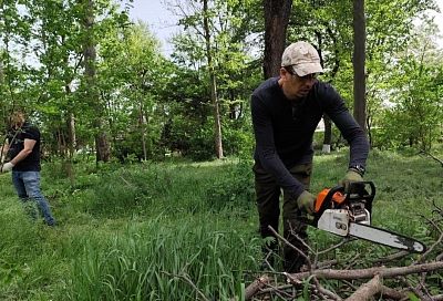 В Краснодаре 14 сентября пройдет общегородской субботник. Где и когда к нему присоединиться