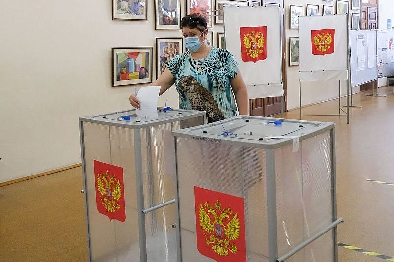 В Краснодарском крае общая активность участников голосования по изменениям в Конституцию РФ достигла более 74 процентов 