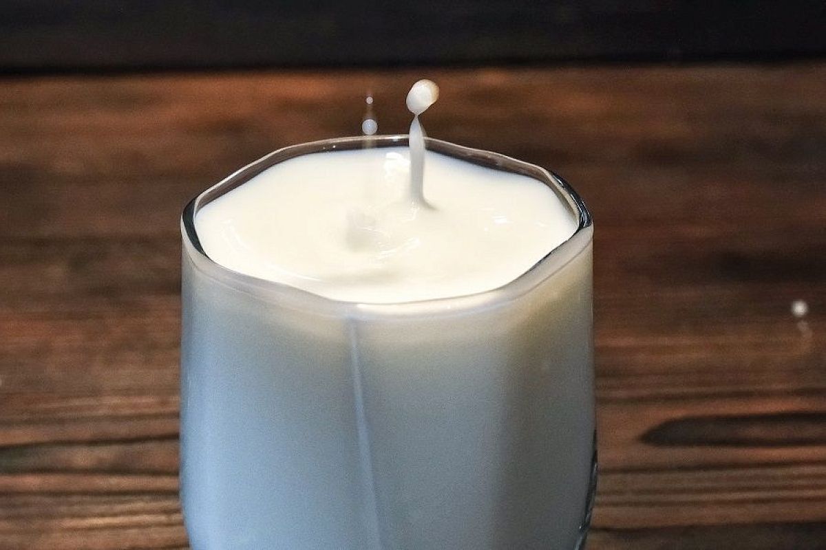 Пейте, овощи, молоко: натуральное удобрение и защита от болезней для огурцов, томатов и лука