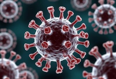 Вирус Нипах — не для России: почему опасаться не стоит