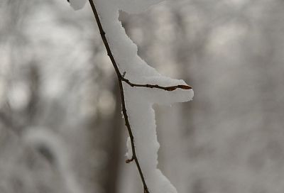 В снежном плену: что известно о последствиях разгула стихии в Краснодарском крае