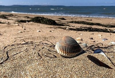 Азовское море стало теплее Черного: какая температура воды