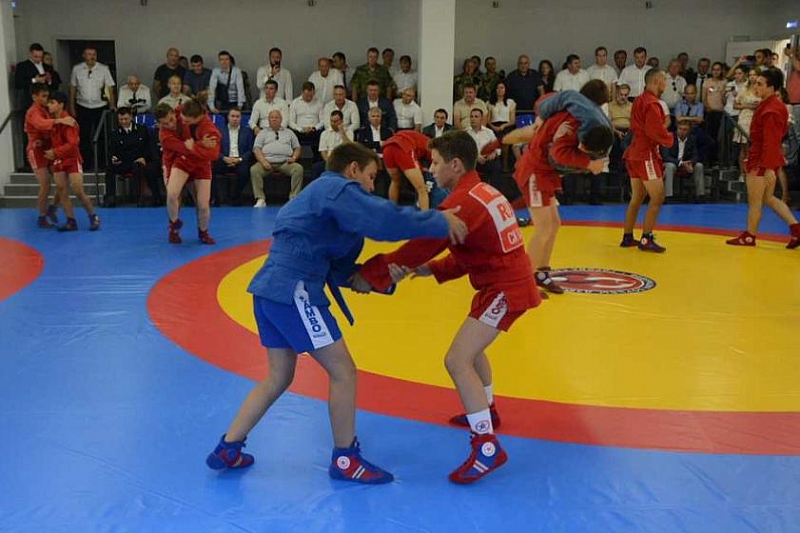 В Сочи состоится первый чемпионат Лиги боевого самбо