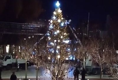 Новогоднее настроение: в парке «Краснодар» впервые установили елку