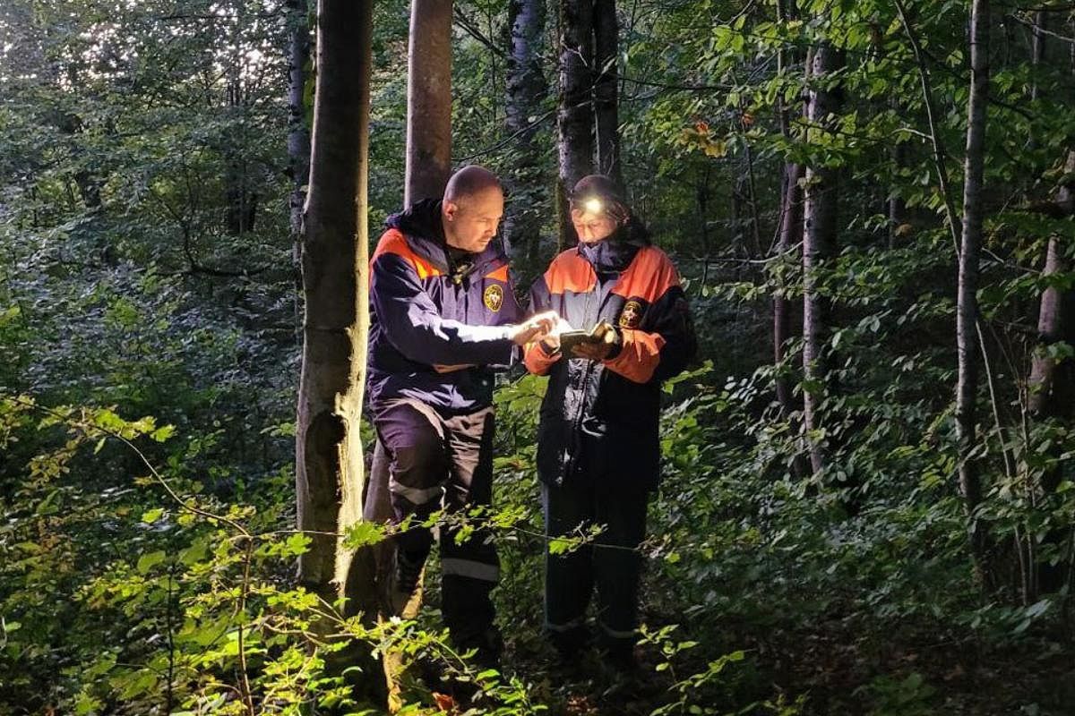 Сочинская пенсионерка во время сбора грибов заблудилась в лесу и провела там всю ночь