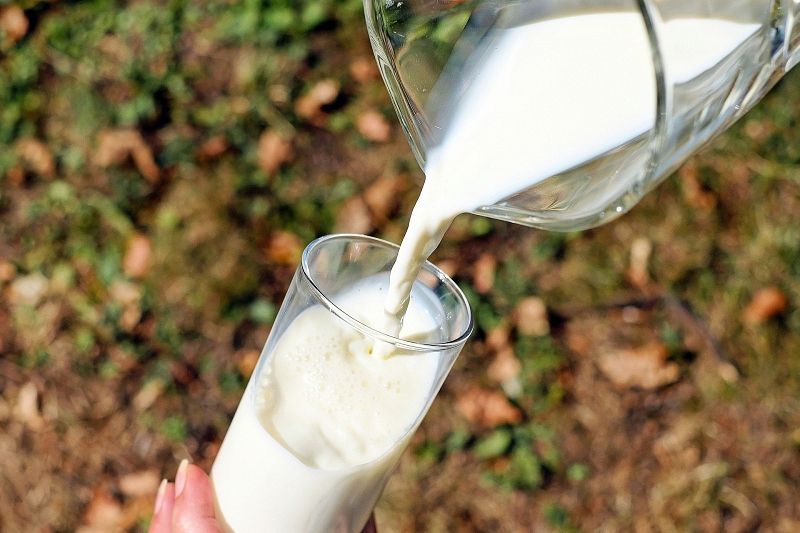 Правительство опровергло информацию о росте цен на молоко