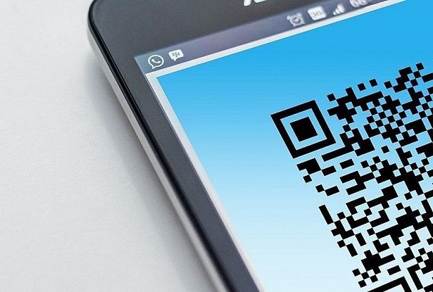 Гинцбург объяснил введение QR-кодов