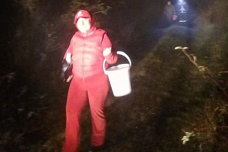 Спасатели вывели из леса трех потерявшихся в тумане женщин  