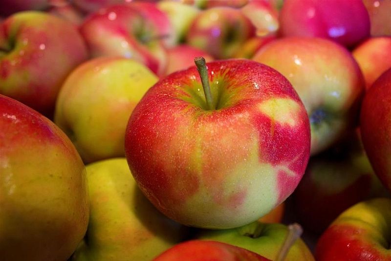 Без нитратов и радионуклеидов: почему яблоко – самый безопасный фрукт