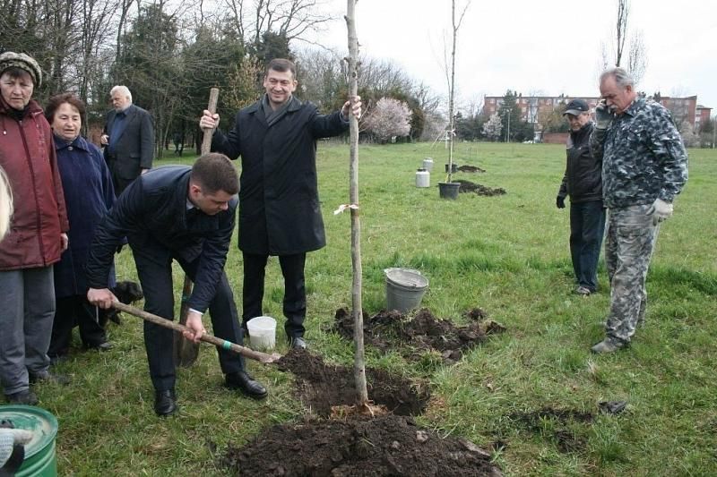 Акция «Краснодар - 10 тысяч деревьев» прошла в Прикубанском округе