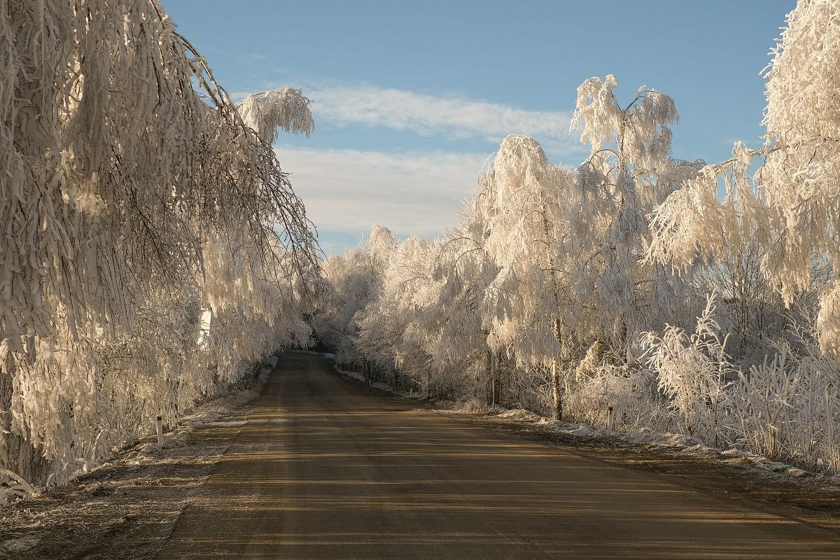 Лаго-Наки в Адыгее вошло в топ-3 самых дешевых горных курортов России