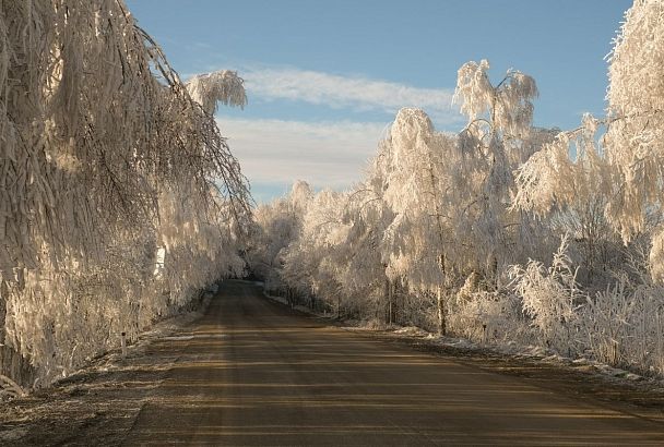 Лаго-Наки в Адыгее вошло в топ-3 самых дешевых горных курортов России