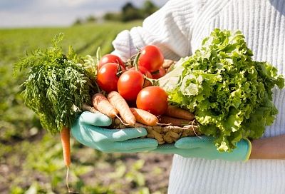 Бегите на грядки: натуральные продукты помогают стать успешнее в работе