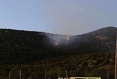 Лес загорелся в заповеднике Малый Утриш под Анапой