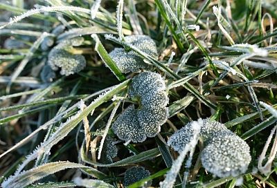 Заморозки до -2 градусов ожидаются ближайшей ночью в Ростовской области