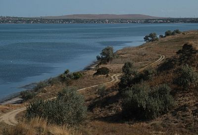 Сипухи облюбовали Тамань: ученые изучили на полуострове условия их гнездования и питания