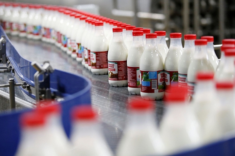 Краснодарский край вошел в число регионов-лидеров по приросту производства молока
