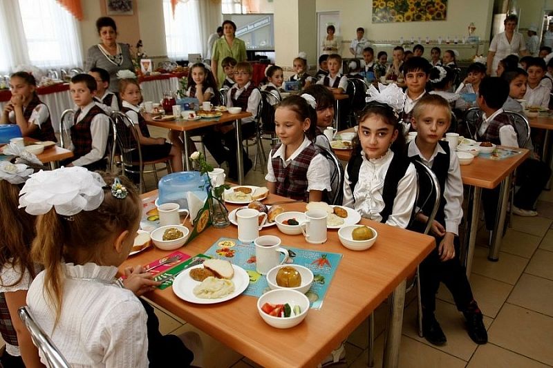Специализированное меню для школьных столовых разработали в Краснодарском крае