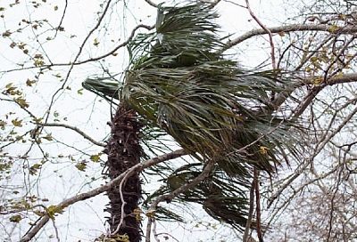 Штормовой циклон ворвался в Краснодарский край