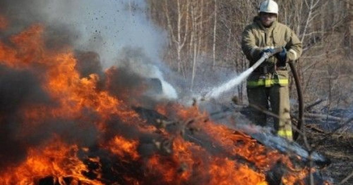 Население пожары. Пожары. Тушение пожара в деревне. Огонь пожар. Пожарники тушат пожар.