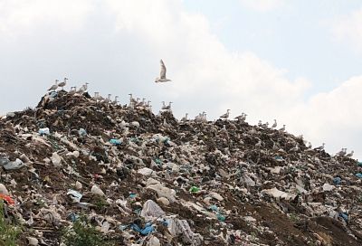 Администрация Красноармейского района подала в суд иск на закрытие мусорного полигона