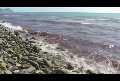 Черное море у берегов Анапы окрасилось в красный цвет