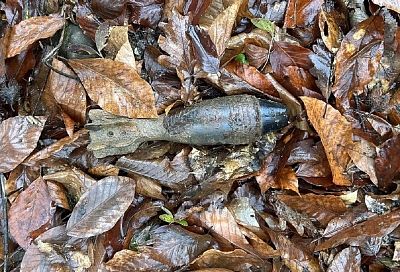 Под Горячим Ключом жители нашли на берегу реки мину времен войны