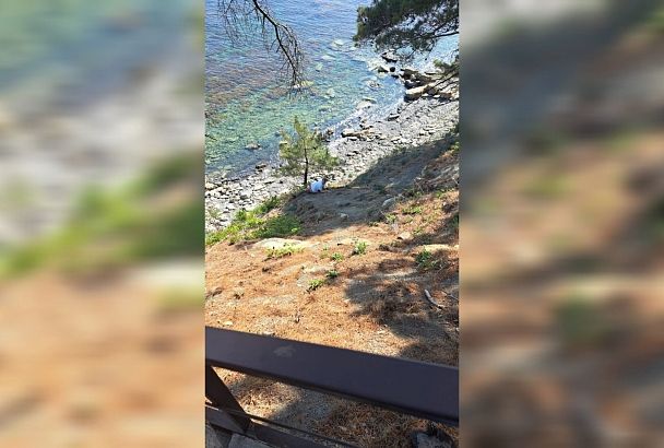 Туристка потянулась за упавшим телефоном и застряла на скале в Туапсе