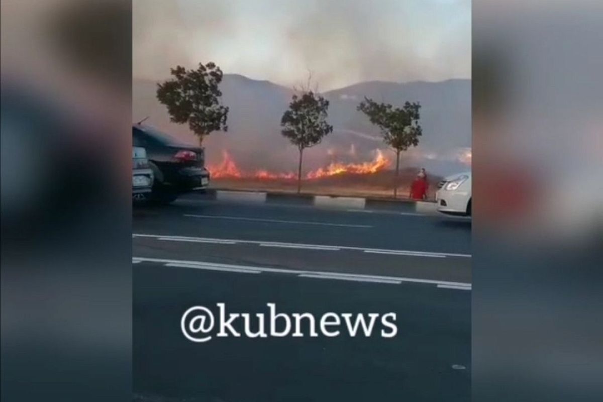 В Новороссийске на Малой Земле тушат пожар 