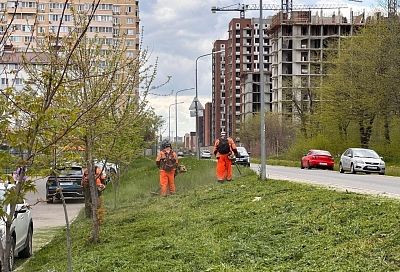 Более 750 гектаров сорняков выкосили в Краснодаре