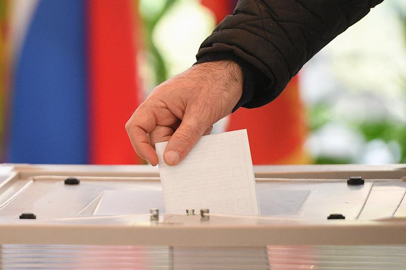 Явка на выборы в Краснодарском крае составила более 50%
