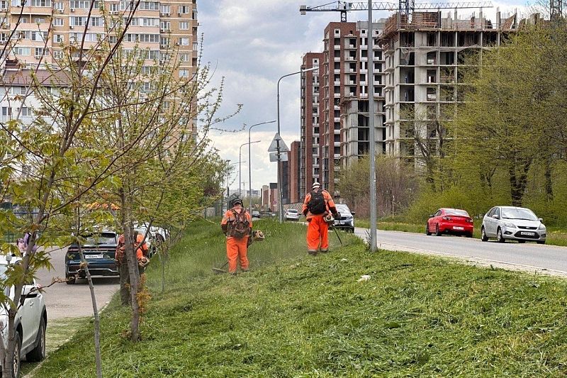 Более 750 гектаров сорняков выкосили в Краснодаре