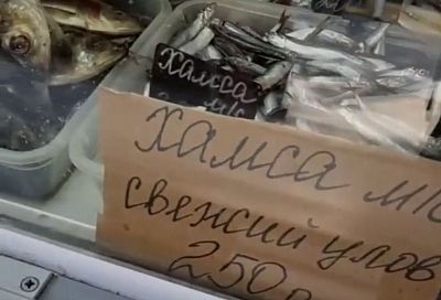 Хамса пошла: когда в Новороссийск вернётся рыбный фестиваль