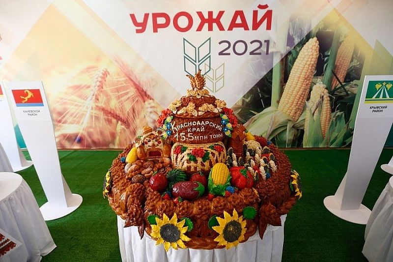 В Краснодарском крае аграрии установили исторический рекорд по сбору урожая