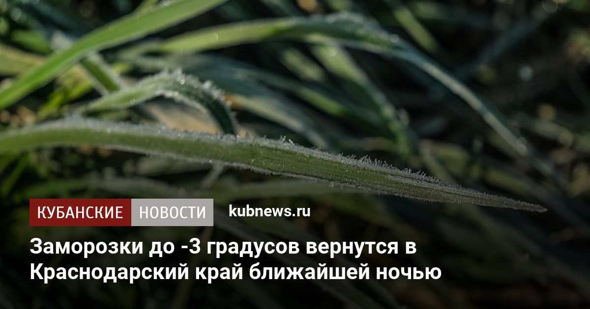 Заморозки до -3 градусов вернутся в Краснодарский край ближайшей ночью