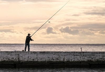 Жителям Новороссийска напомнили о запрете лова кефали в акваториях портов