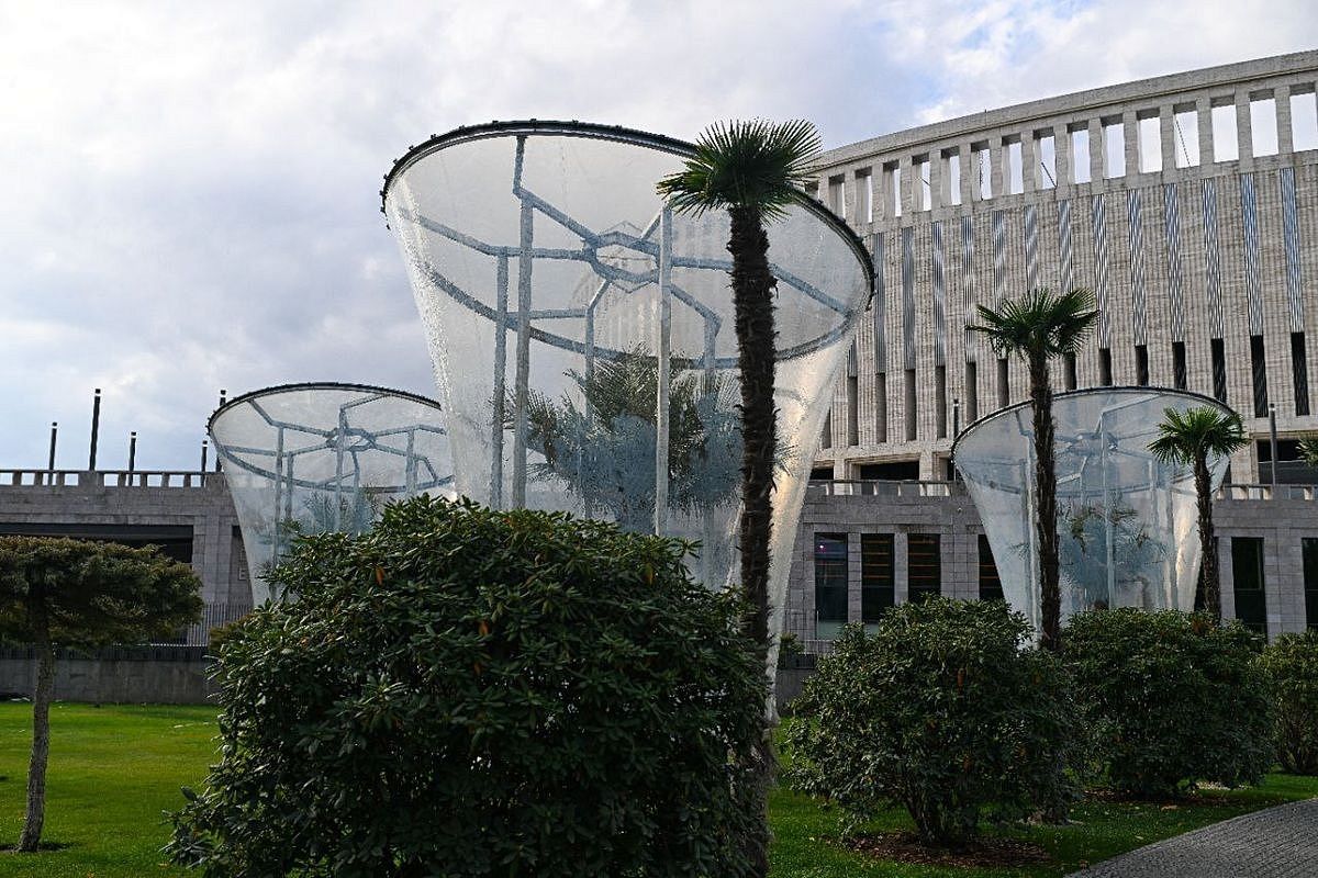 «Скафандры» для  деревьев: экзотические растения в парке Галицкого начали утеплять к зиме