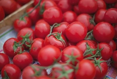 Кубань стала лидером по числу производителей органических продуктов питания в России
