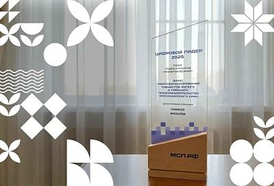 Краснодарский край вошел в число цифровых лидеров по поддержке малого бизнеса в РФ