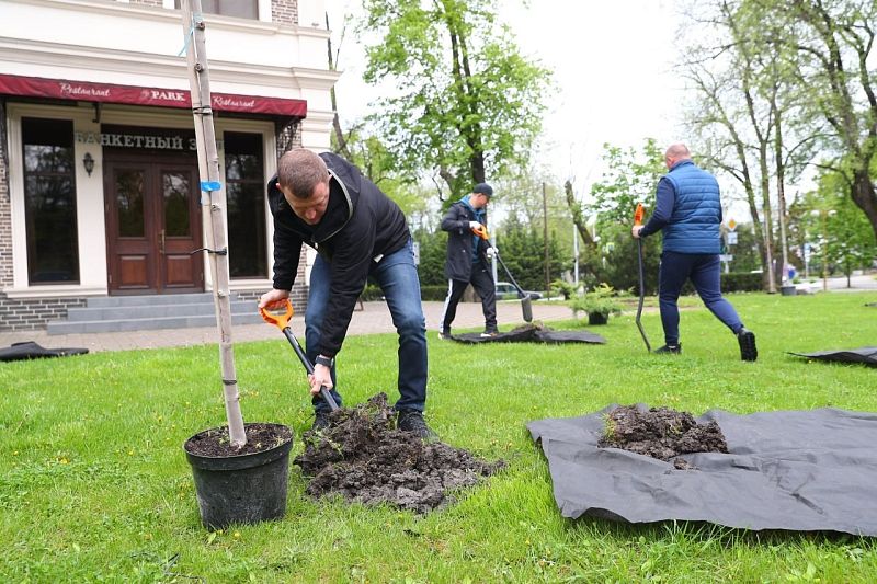 Мэр Краснодара Наумов высадил деревья в Городском саду